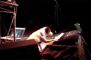 laurie-anderson-heart-of-a-dog-2